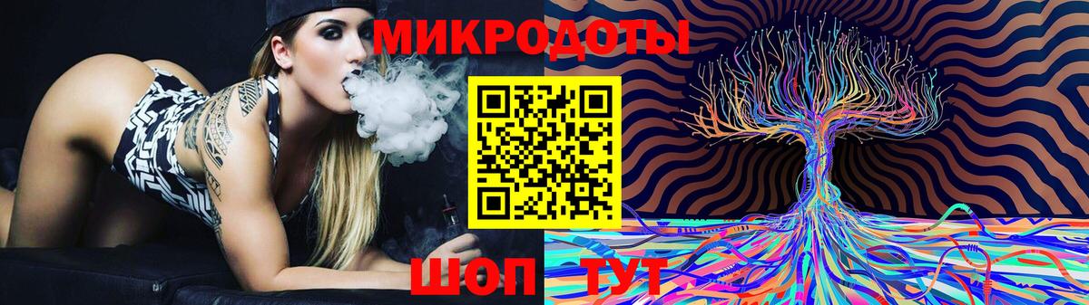Псилоцибиновые грибы Psilocybe  Вход с VPN  Псилоцибиновые грибы прущие грибы  Видное 